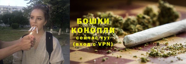 сатива Семёнов