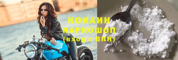 прущие грибы Семикаракорск
