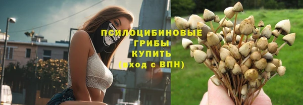 стафф Семилуки