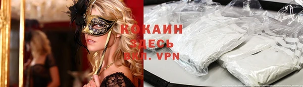 стафф Семилуки