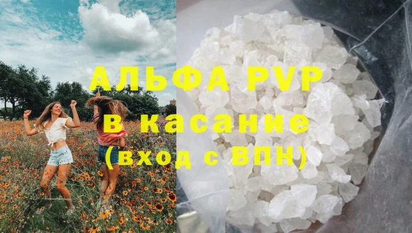 сатива Семёнов