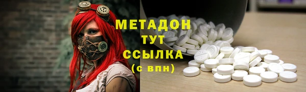 прущие грибы Семикаракорск