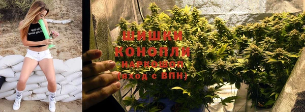 стафф Семилуки