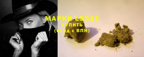 стафф Семилуки