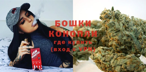 стафф Семилуки