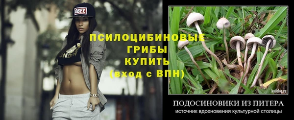 сатива Семёнов