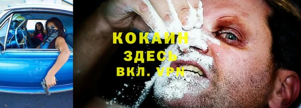 прущие грибы Семикаракорск