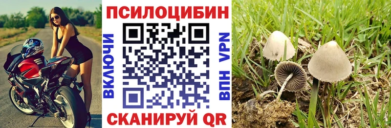 Псилоцибиновые грибы ЛСД  что такое наркотик  Талица 